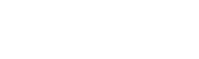 Planeguard Aviation Group
