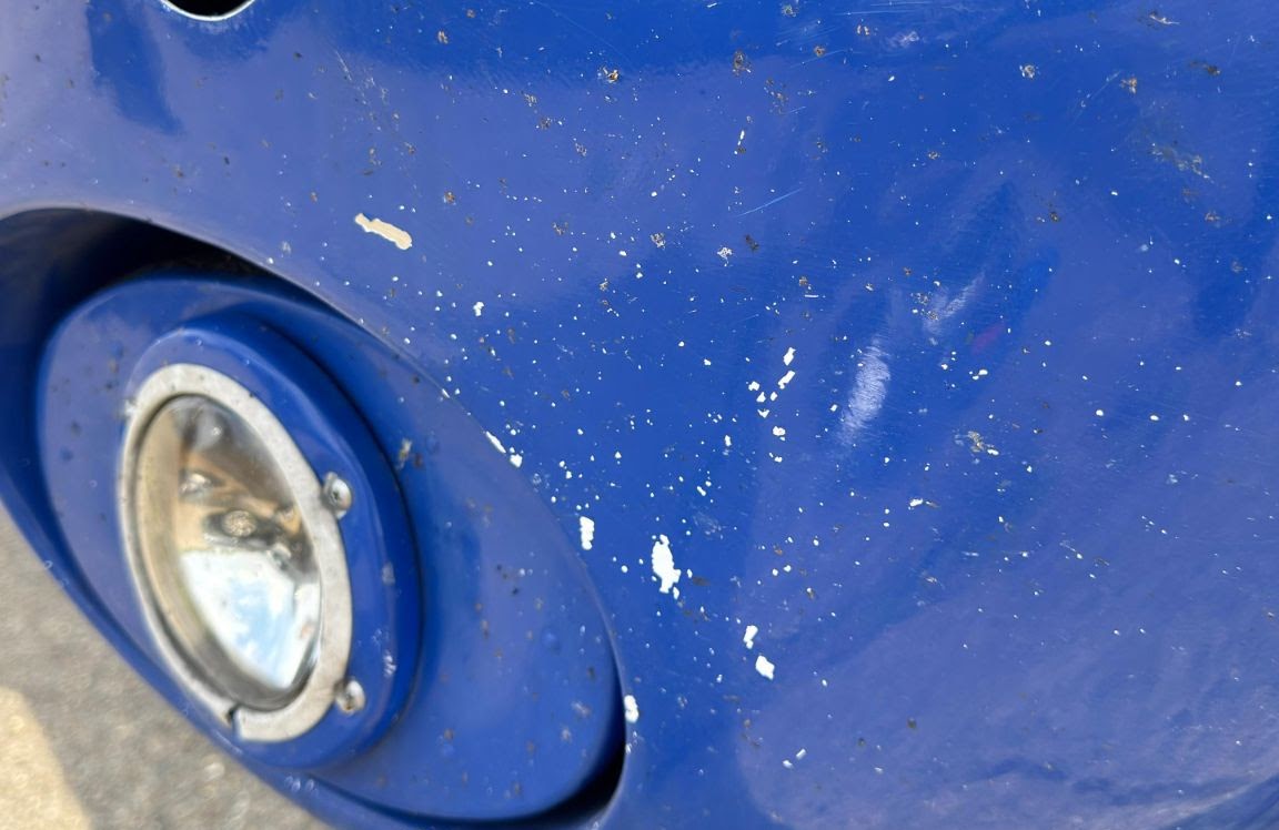 Mistake #2: Neglecting Bug Removal and Leading Edge Protection