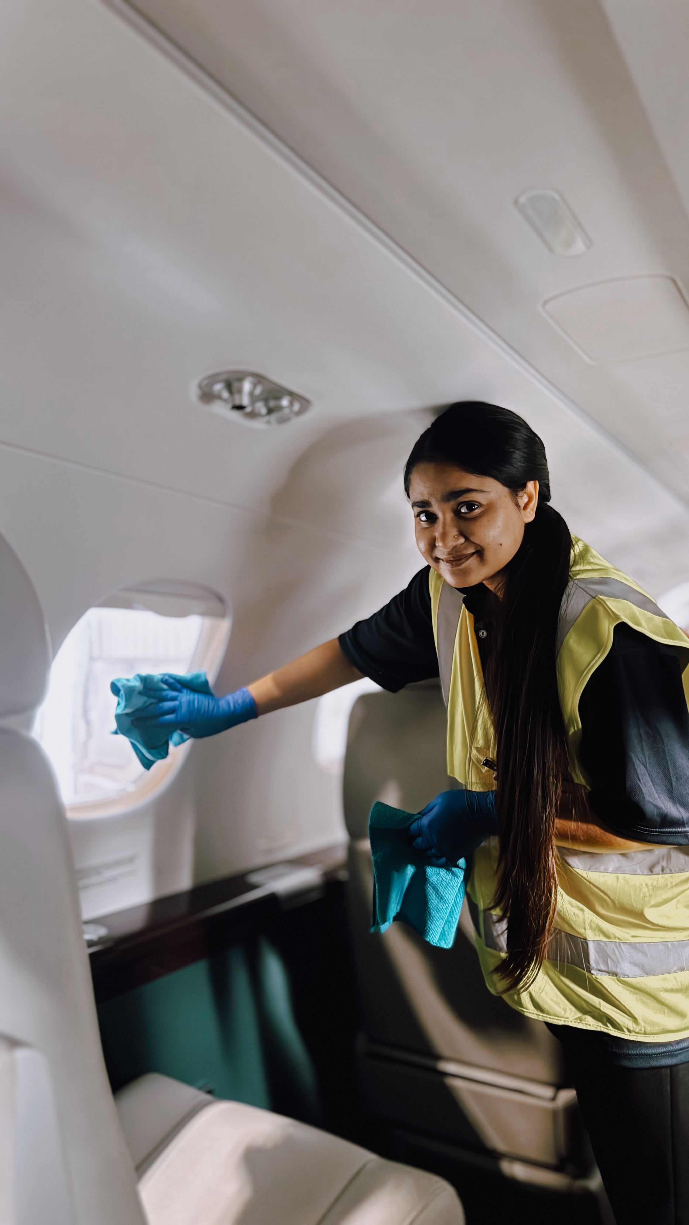 Aircraft detailing capability