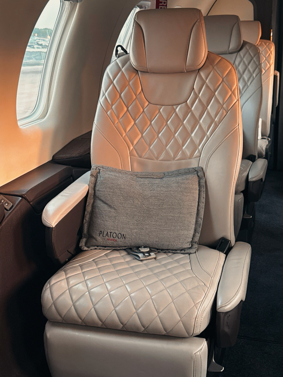 Aircraft Detailing Services